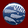 Dritte Wahl Badge "Wal"